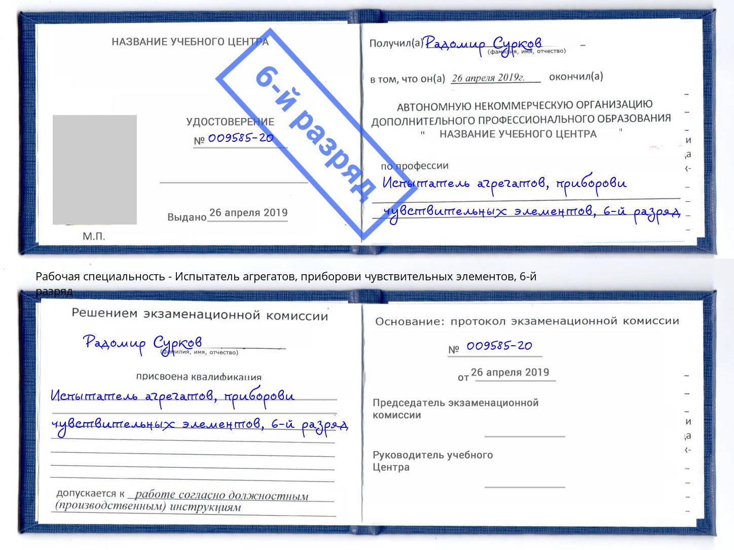 корочка 6-й разряд Испытатель агрегатов, приборови чувствительных элементов Юрга