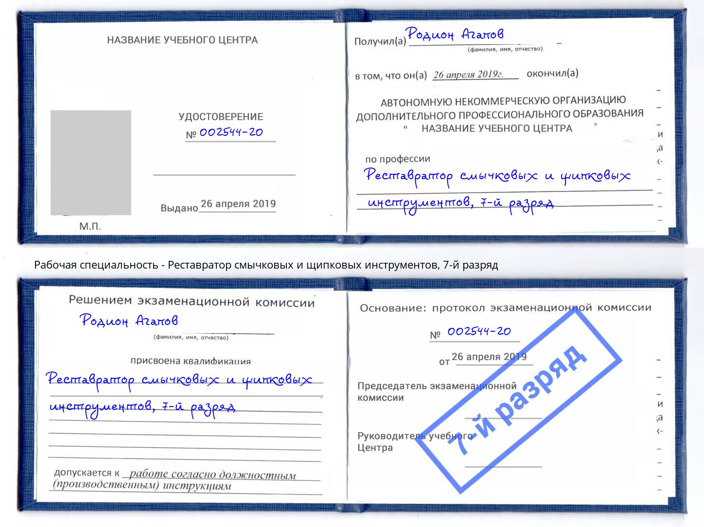 корочка 7-й разряд Реставратор смычковых и щипковых инструментов Юрга