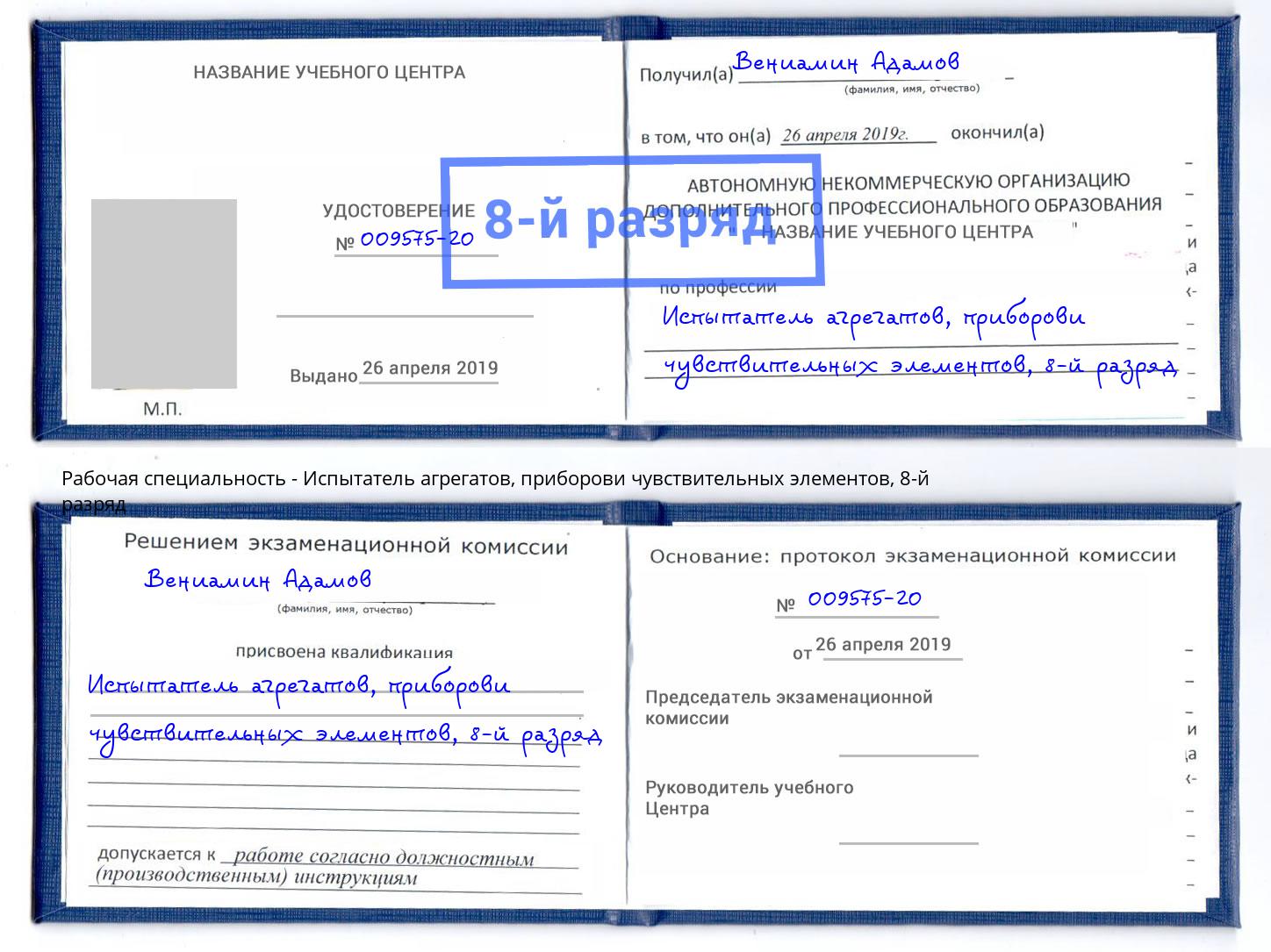 корочка 8-й разряд Испытатель агрегатов, приборови чувствительных элементов Юрга